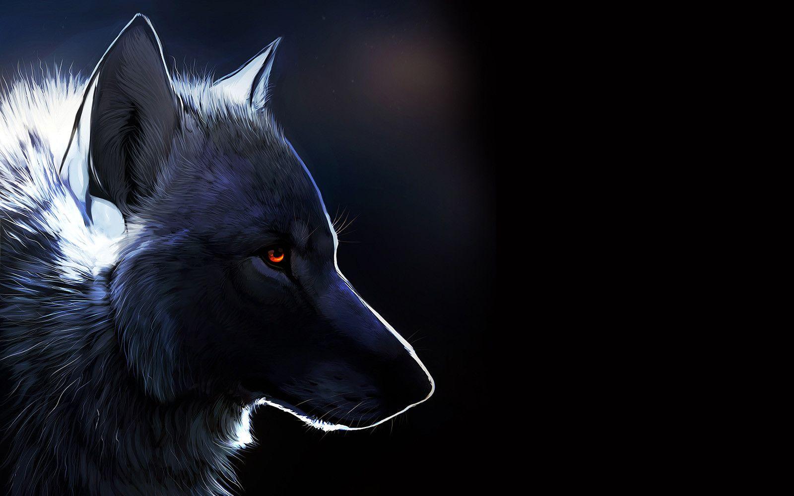 Black Wolf 4K Wallpapers Top Free Black Wolf 4K Backgrounds