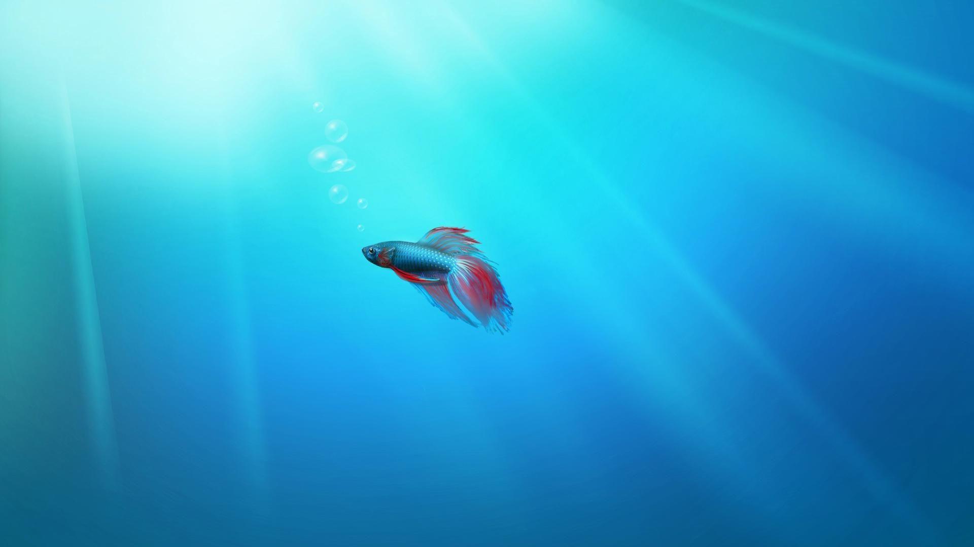 Live Desktop Wallpapers Top Free Live Desktop Backgrounds