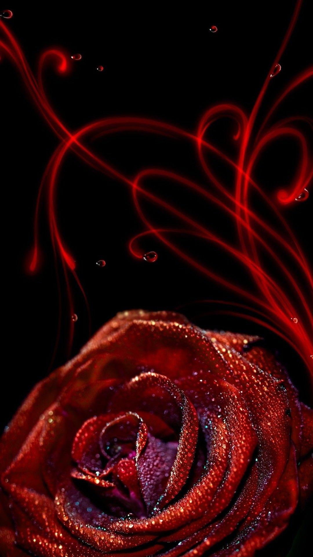 Rose Mobile Wallpapers Top Free Rose Mobile Backgrounds WallpaperAccess