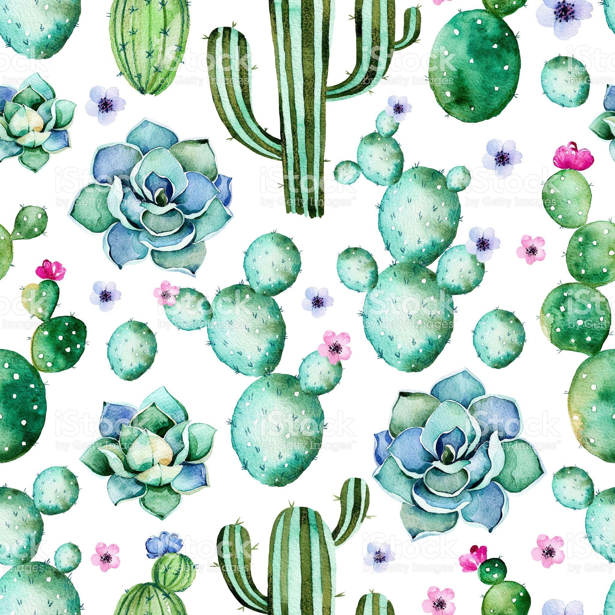 Cactus Print Wallpapers Top Free Cactus Print Backgrounds
