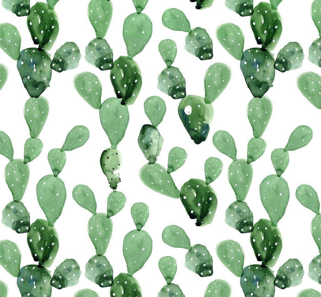 Cactus Watercolor Wallpapers Top Free Cactus Watercolor Backgrounds WallpaperAccess