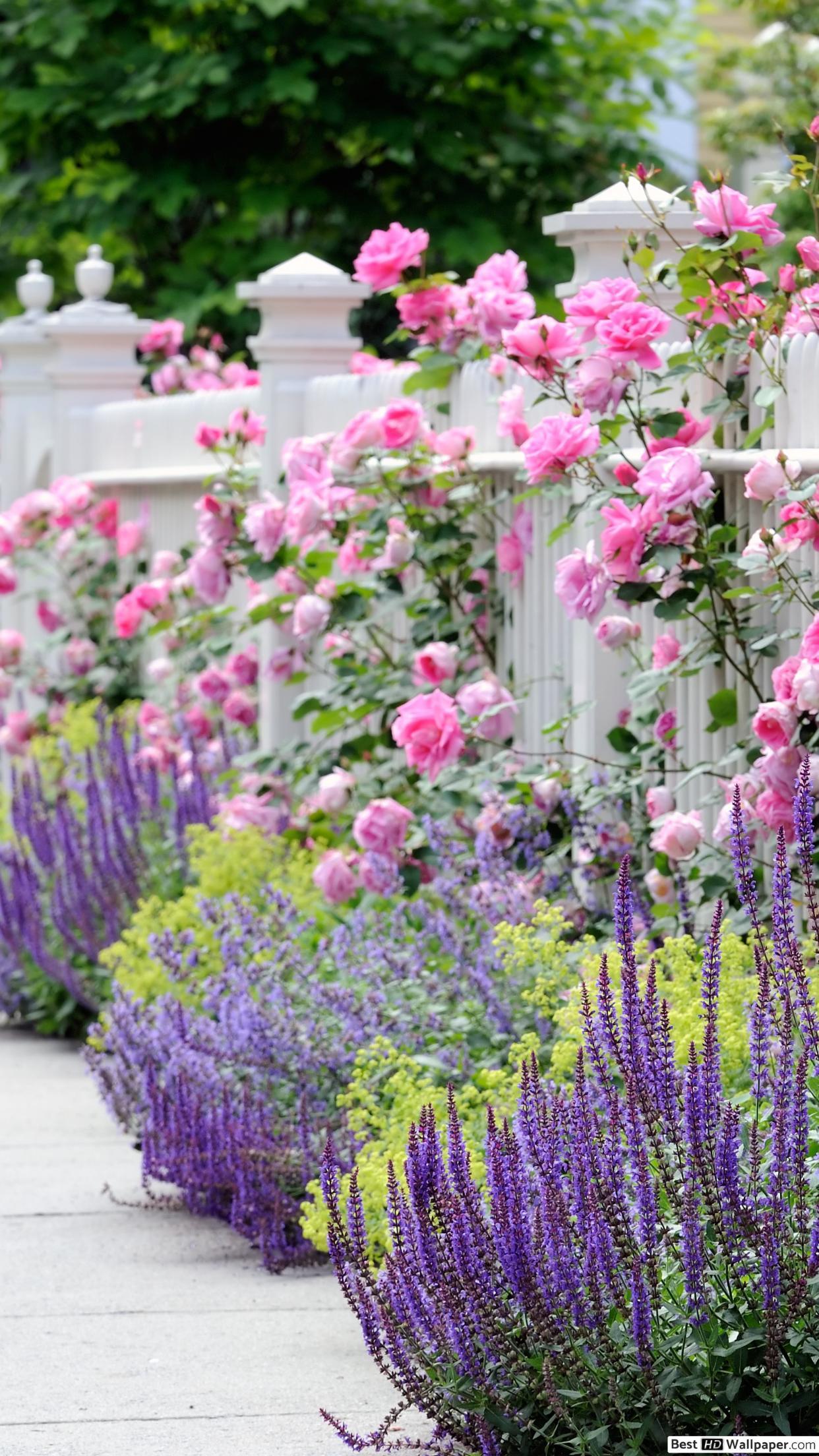 Garden iPhone Wallpapers Top Free Garden iPhone Backgrounds