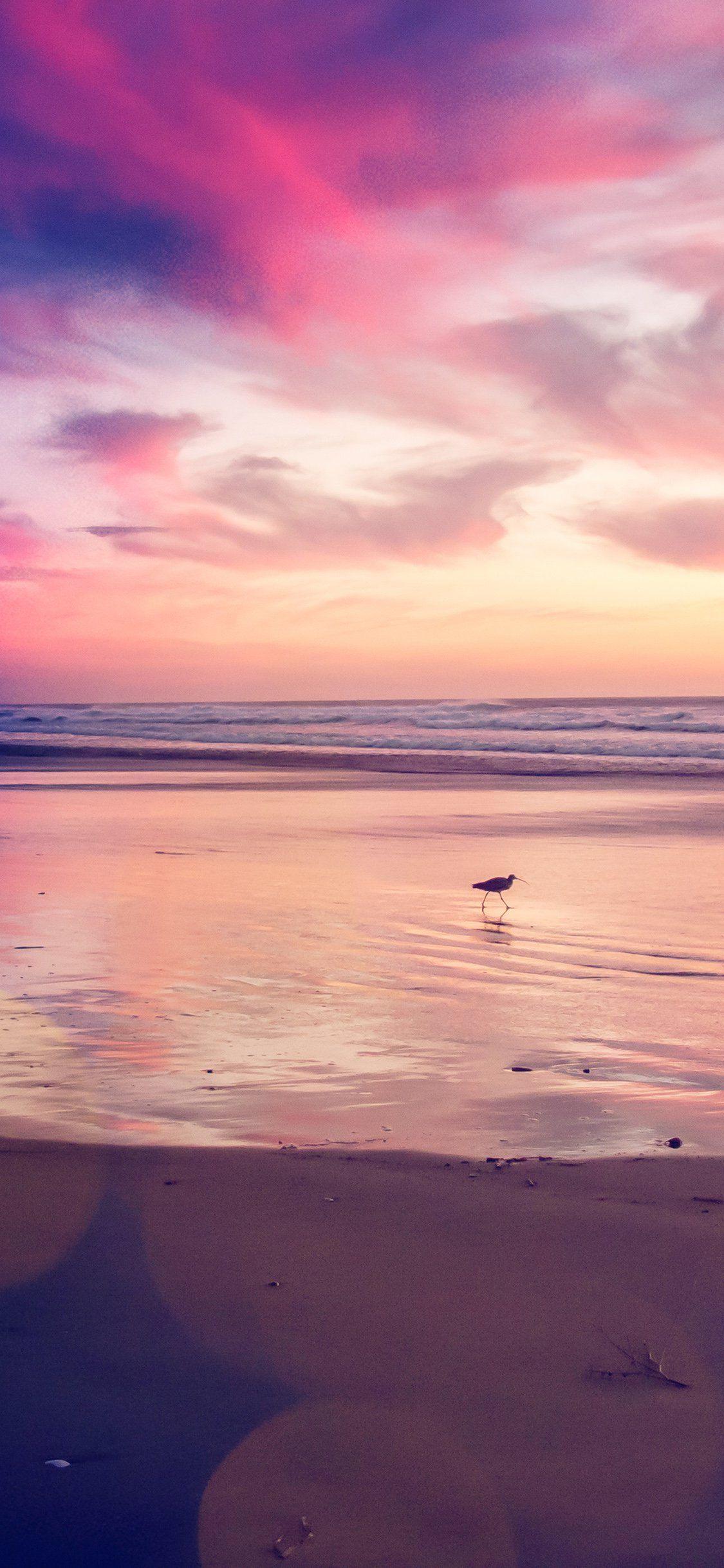 Pink Beach Sunset HD Wallpapers Top Free Pink Beach Sunset HD
