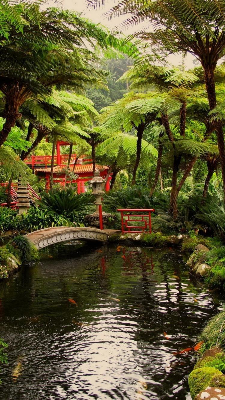 Garden iPhone Wallpapers Top Free Garden iPhone Backgrounds WallpaperAccess