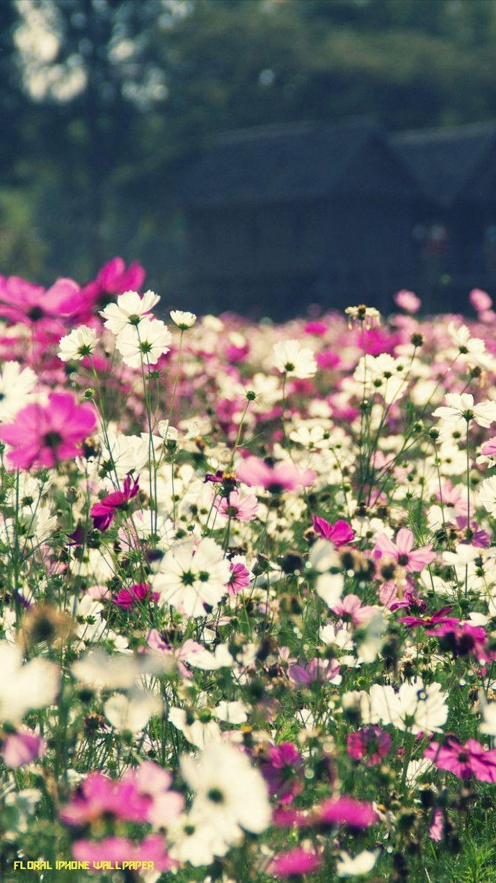 Garden iPhone Wallpapers Top Free Garden iPhone Backgrounds