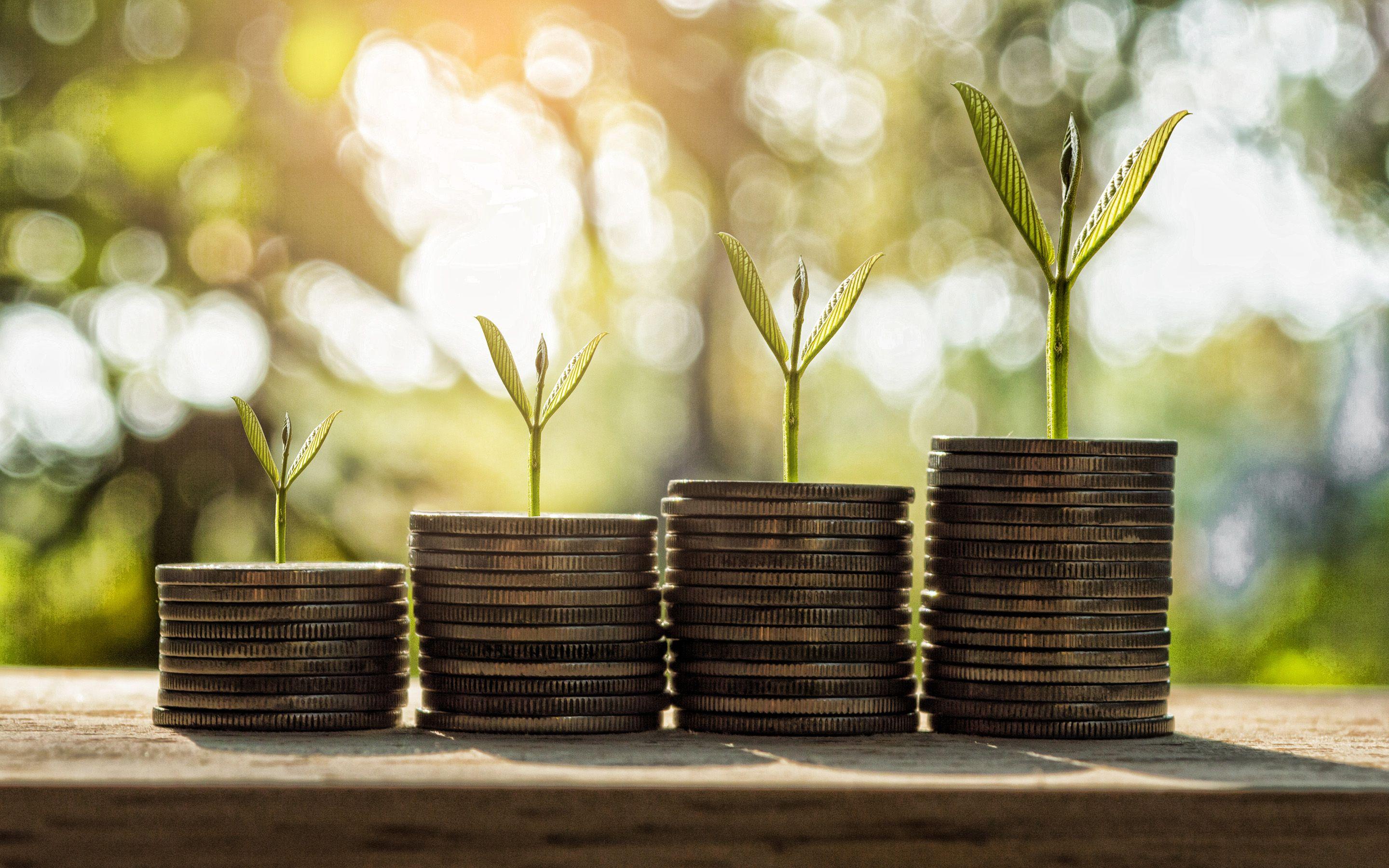 Growth Wallpapers Top Free Growth Backgrounds WallpaperAccess