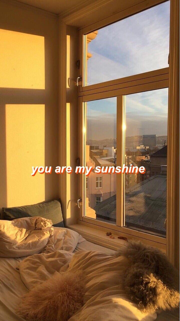 Aesthetic Room Wallpapers Top Free Aesthetic Room Backgrounds WallpaperAccess