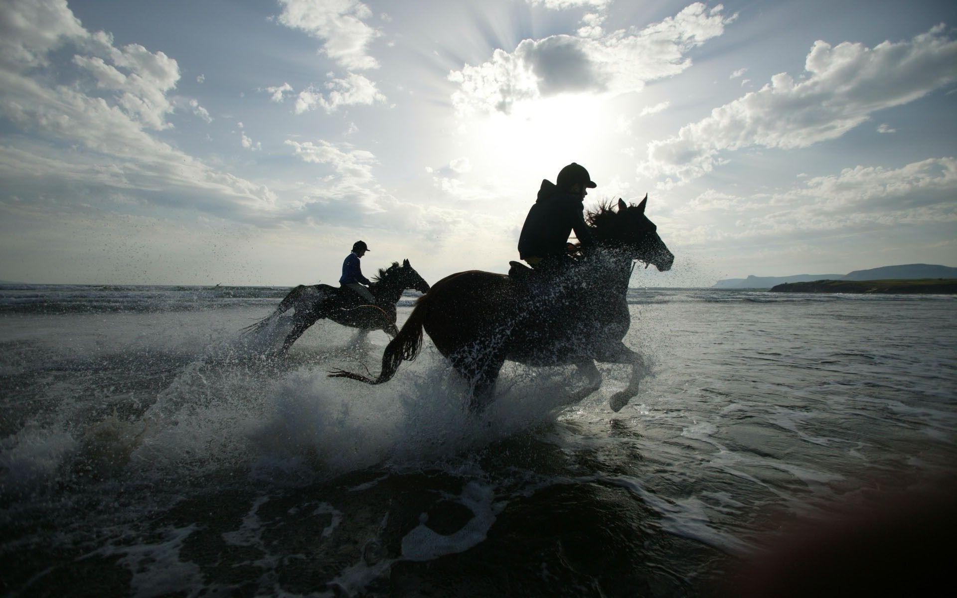 Horse Riding Wallpapers Top Free Horse Riding Backgrounds