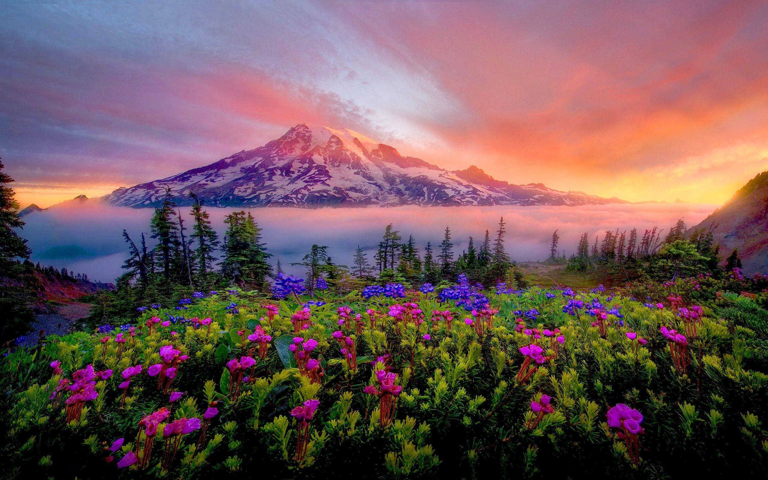 Spring Sunrise Wallpapers - Top Free Spring Sunrise Backgrounds