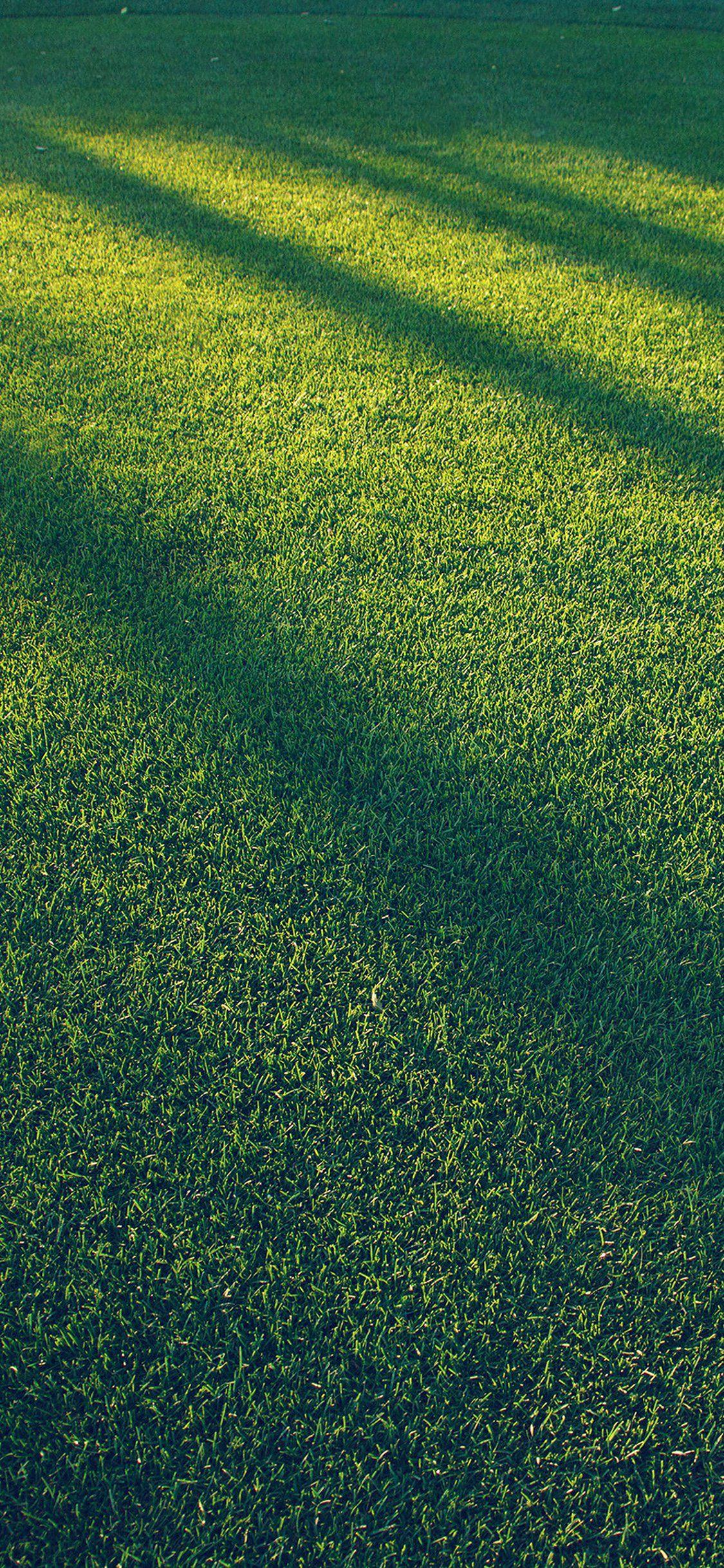 Blue Grass Wallpapers Top Free Blue Grass Backgrounds WallpaperAccess