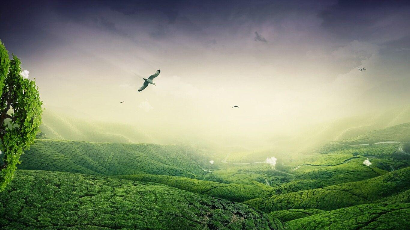 HD Green Landscape Wallpapers Top Free HD Green Landscape Backgrounds