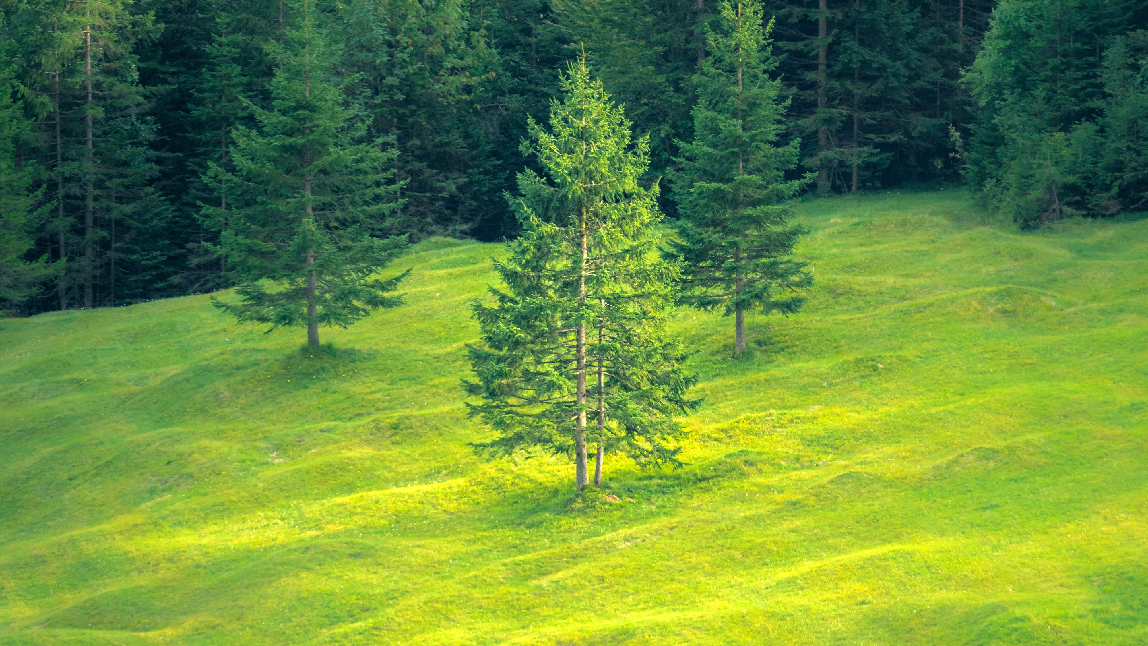HD Green Landscape Wallpapers Top Free HD Green Landscape Backgrounds