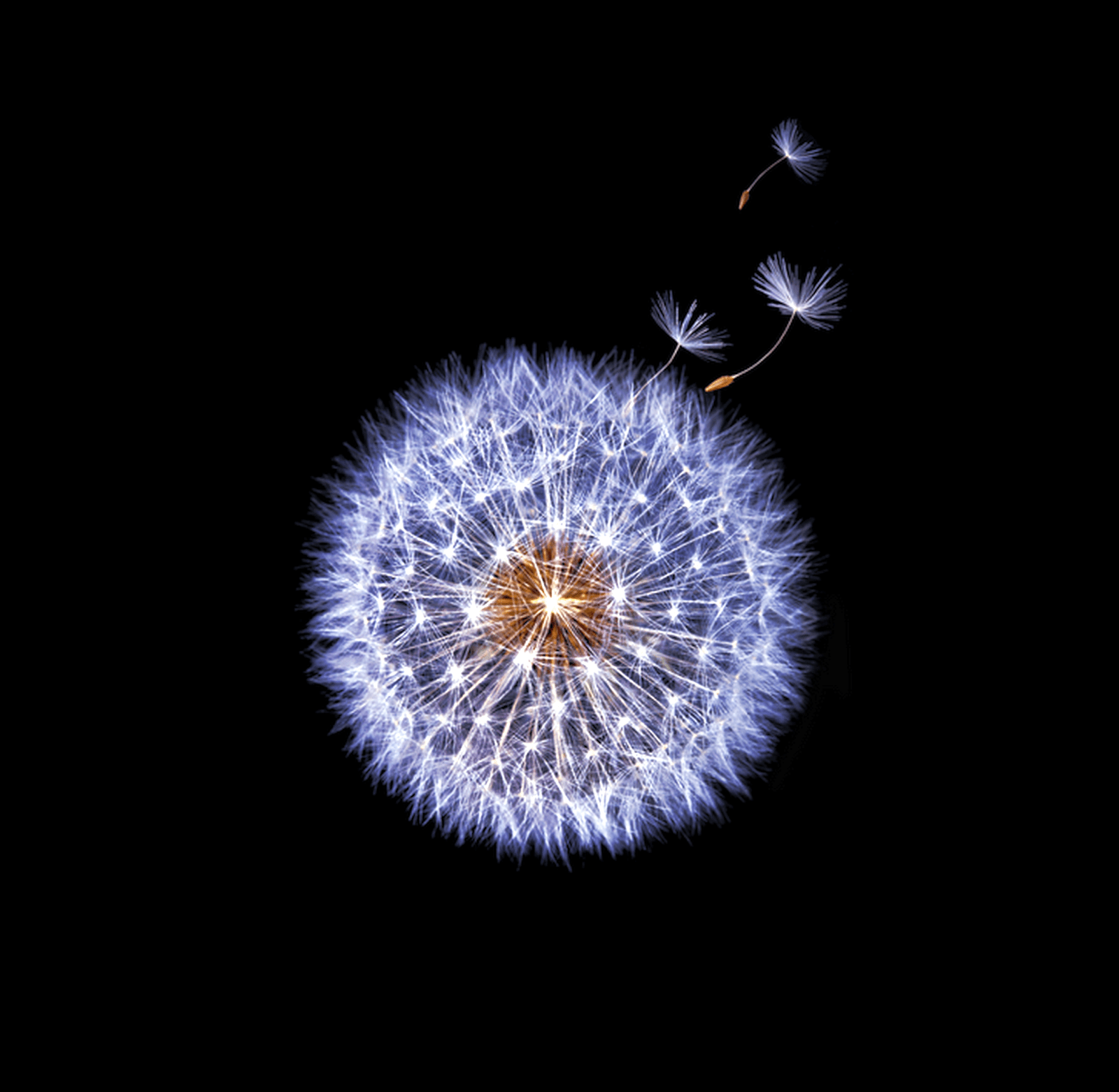 Samsung Note 9 4K Wallpapers Top Free Samsung Note 9 4K Backgrounds