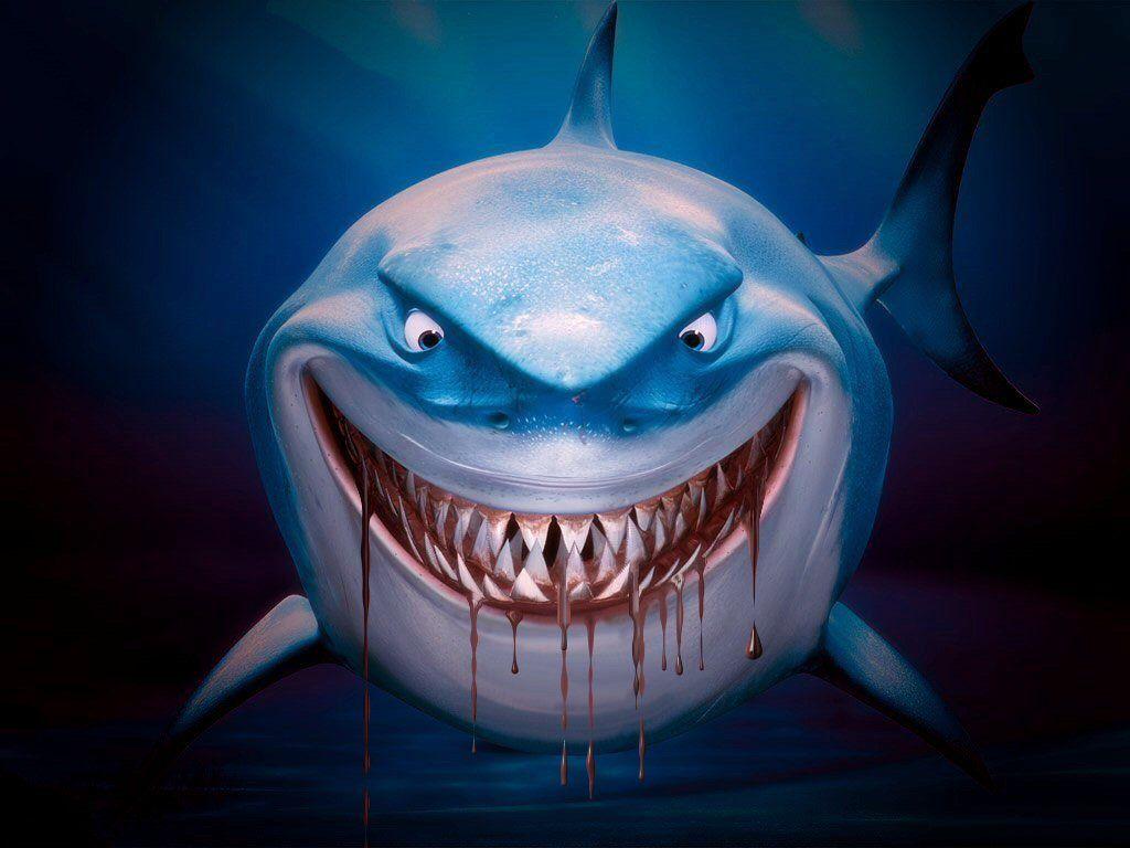 Cool Shark Wallpapers Top Free Cool Shark Backgrounds WallpaperAccess