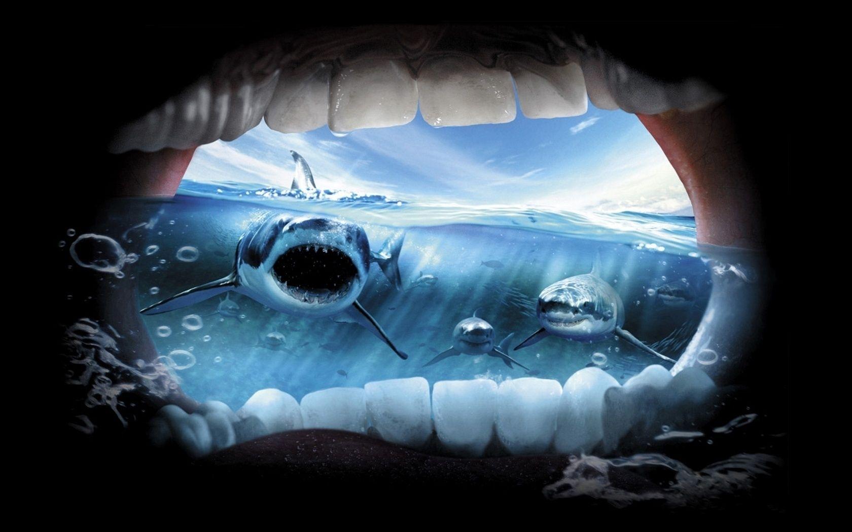 Sharks 3d live wallpaper and screensaver gertyneo