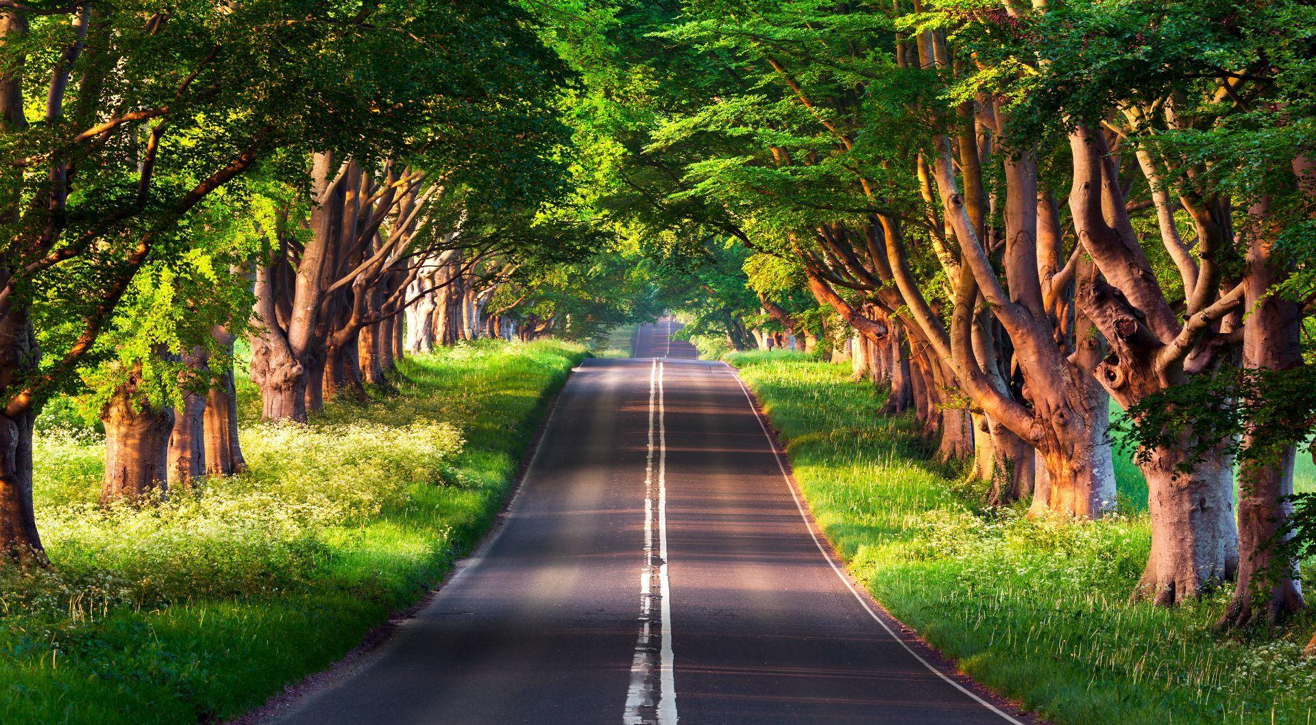 Green Road Wallpapers Top Free Green Road Backgrounds WallpaperAccess