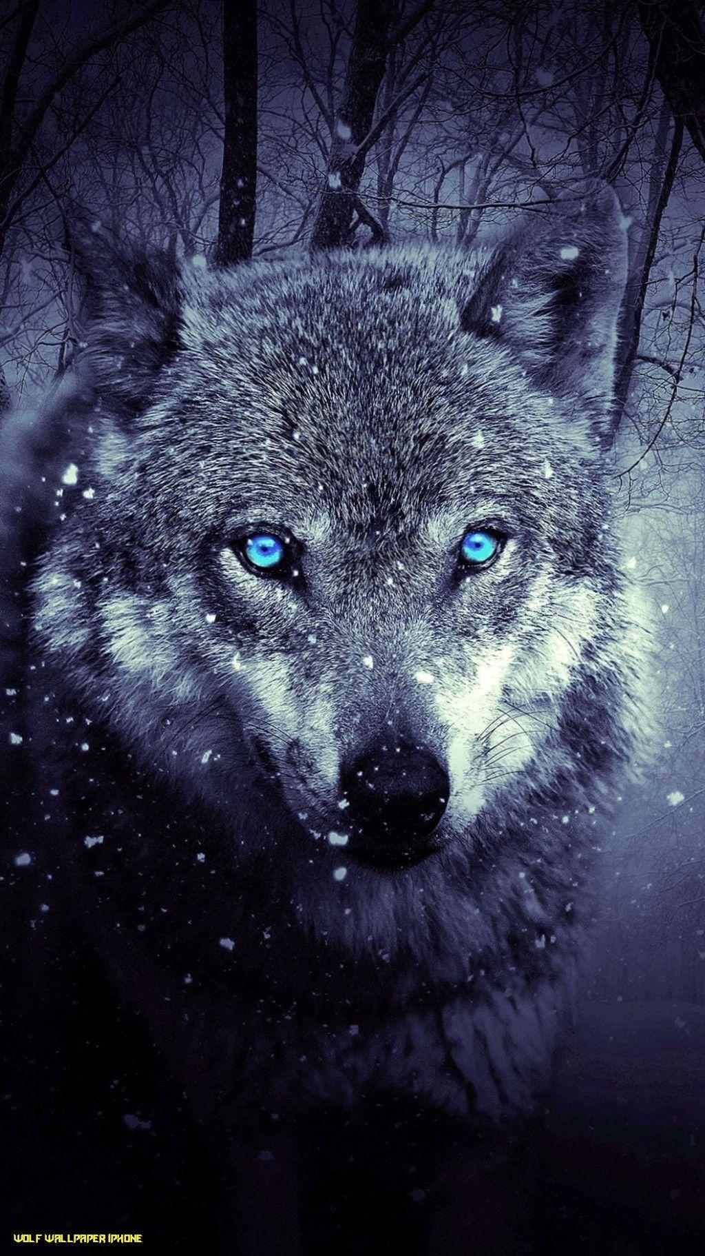 Cool Black Wolf iPhone Wallpapers Top Free Cool Black Wolf iPhone