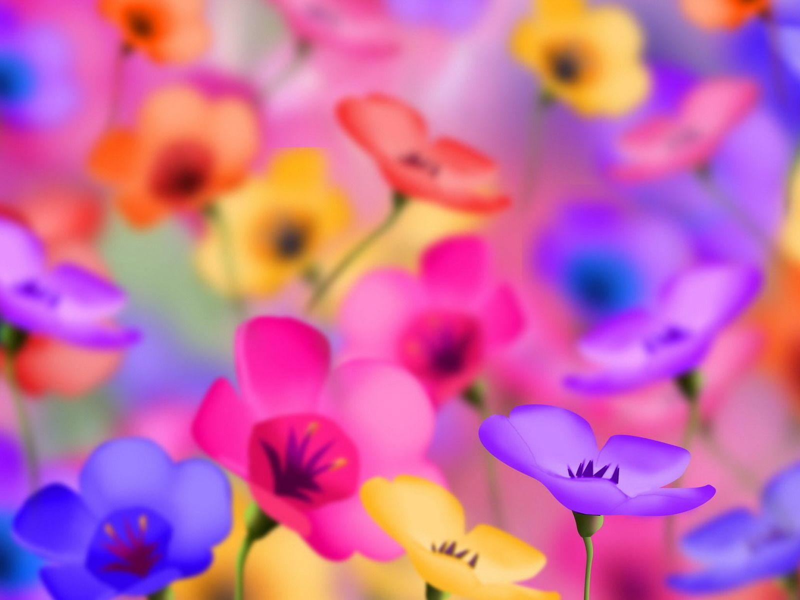 Cute Flower HD Wallpapers Top Free Cute Flower HD Backgrounds