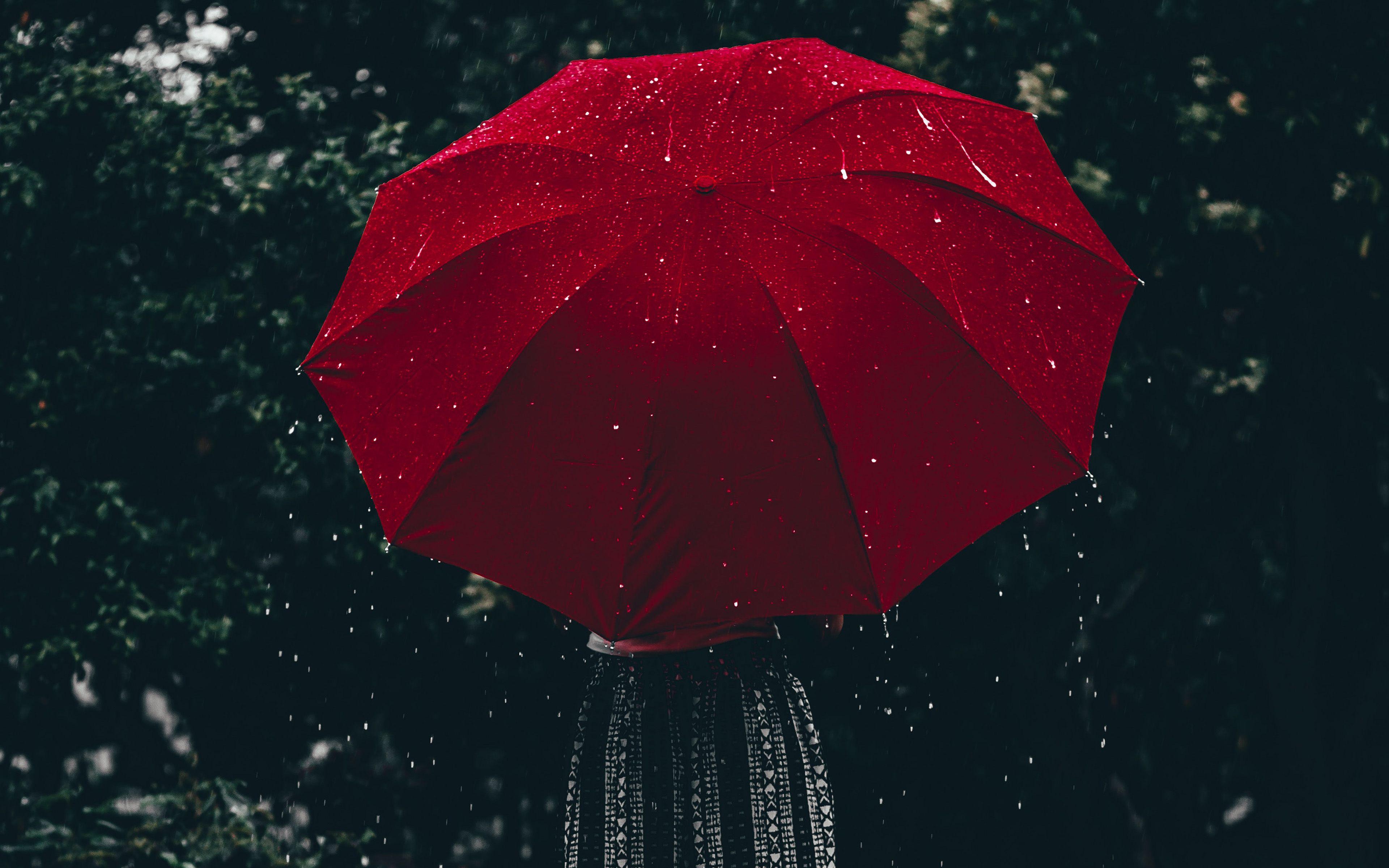 Spring Rain Umbrella 4K Wallpapers Top Free Spring Rain Umbrella 4K Backgrounds WallpaperAccess