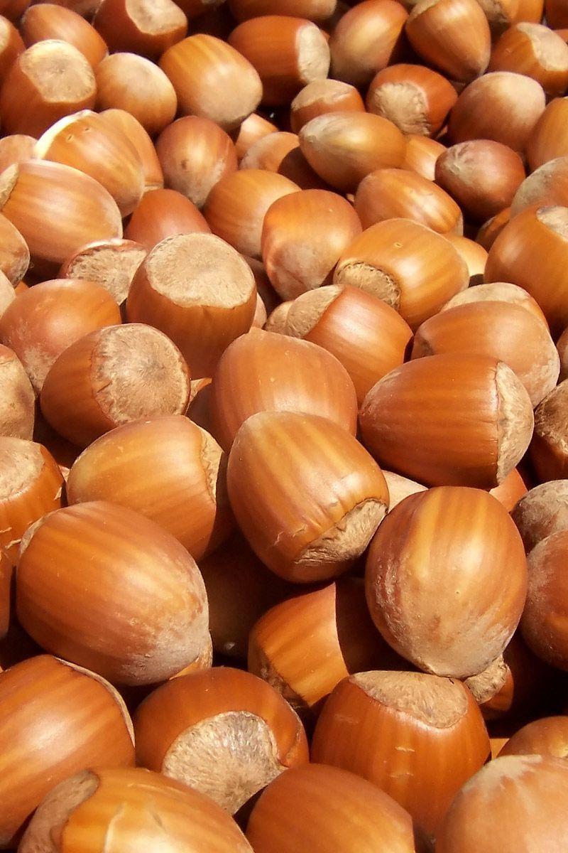 Food iPhone HD Wallpapers Top Free Food iPhone HD Backgrounds