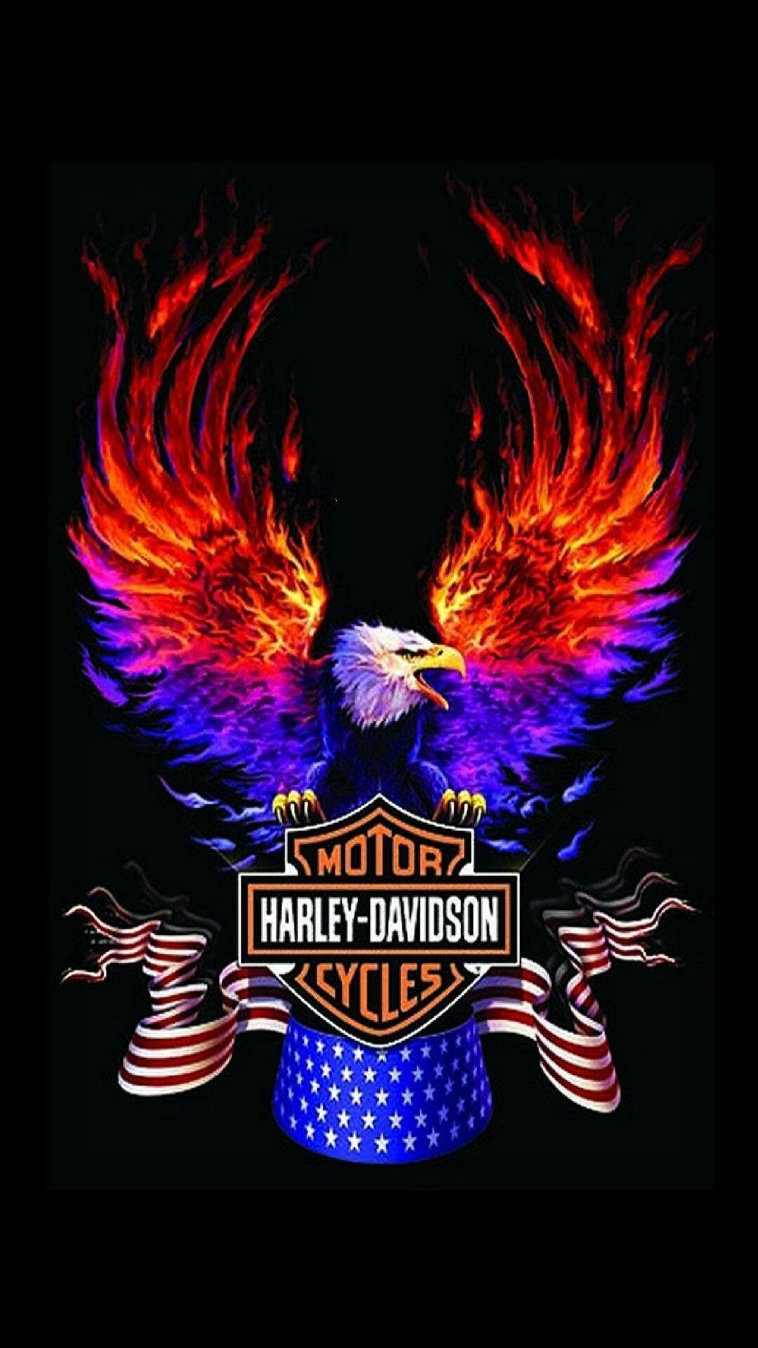 HarleyDavidson Skull Phone Wallpapers Top Free HarleyDavidson Skull
