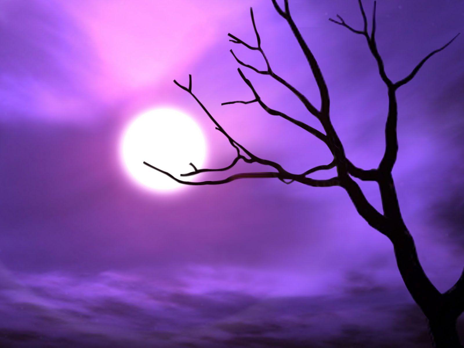 Purple Halloween Wallpapers Top Free Purple Halloween Backgrounds