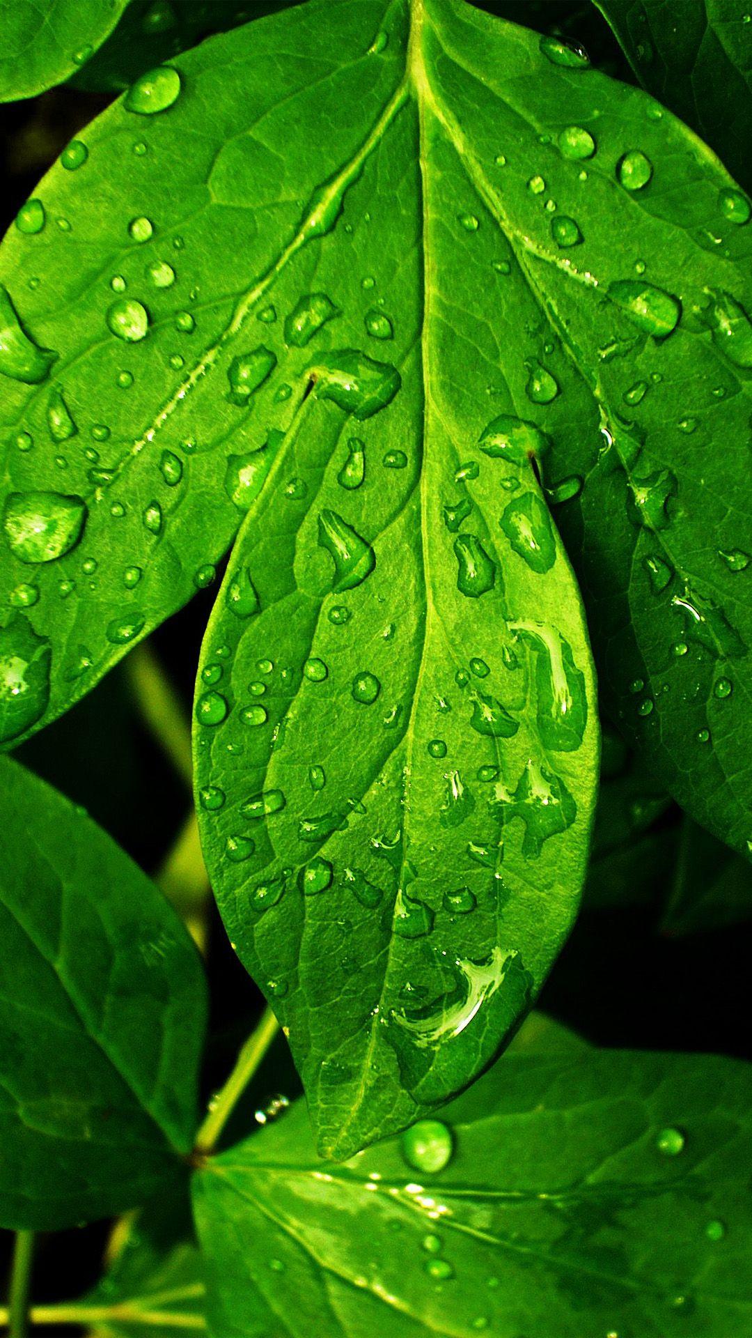 High Resolution iPhone Wallpapers Top Free High Resolution iPhone