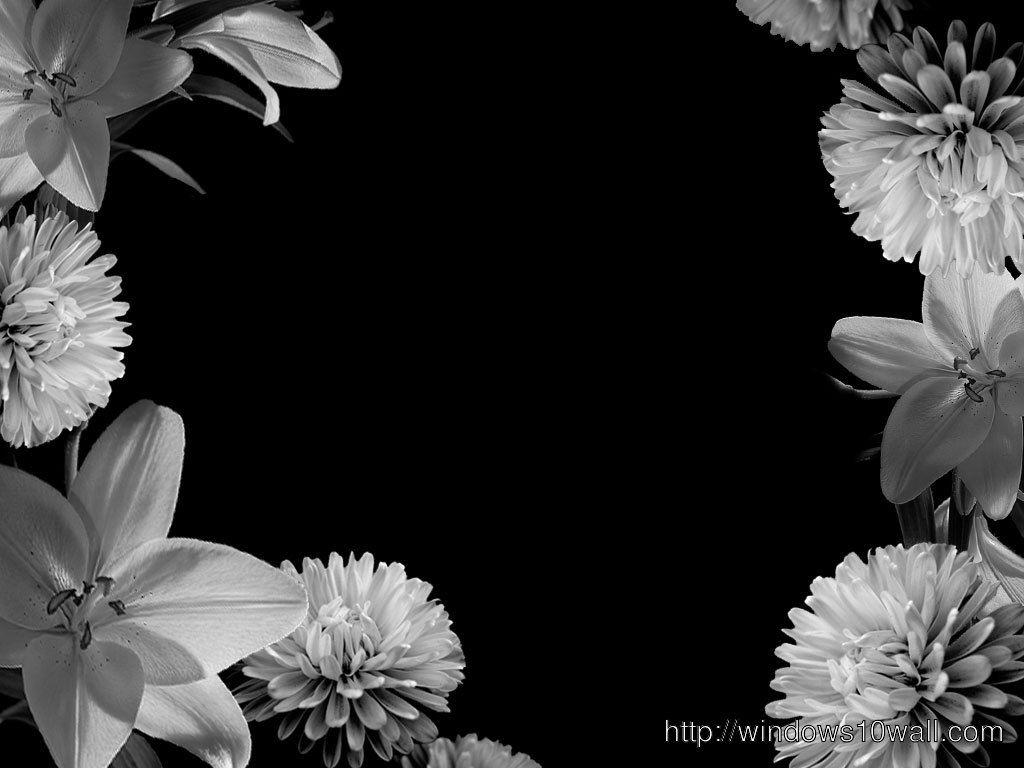 White Flower Laptop Wallpapers Top Free White Flower Laptop