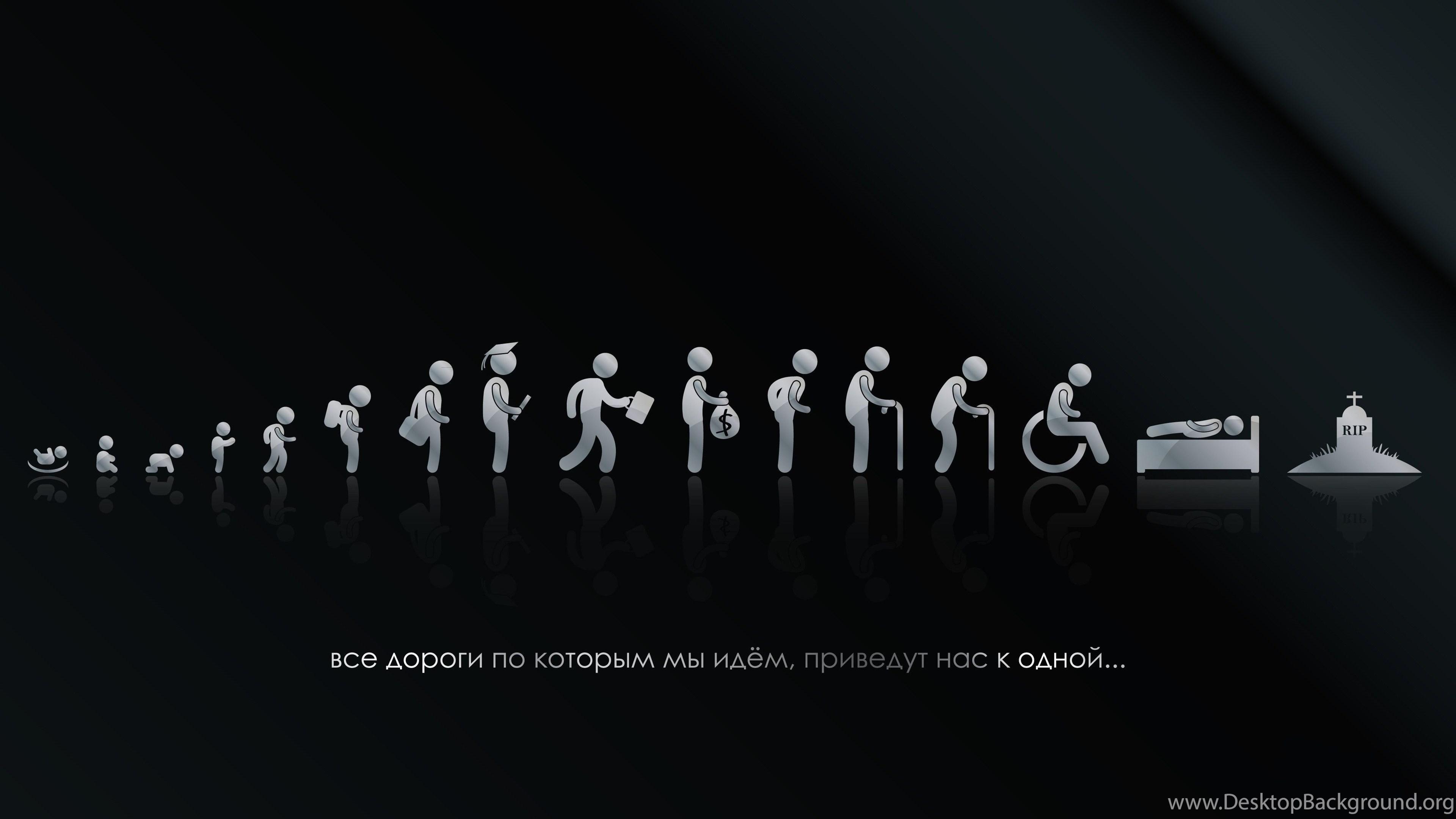 4K Funny Wallpapers Top Free 4K Funny Backgrounds WallpaperAccess