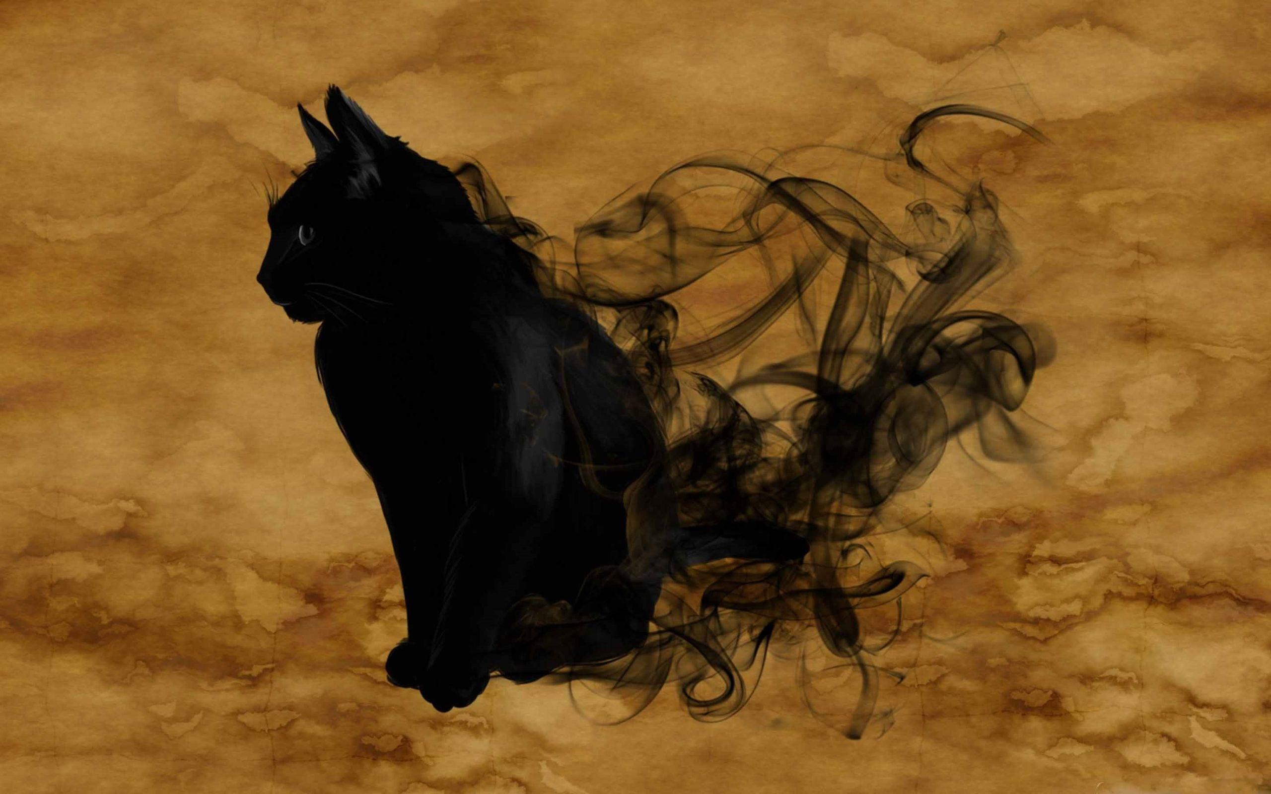 Black Cat Art Wallpapers Top Free Black Cat Art Backgrounds