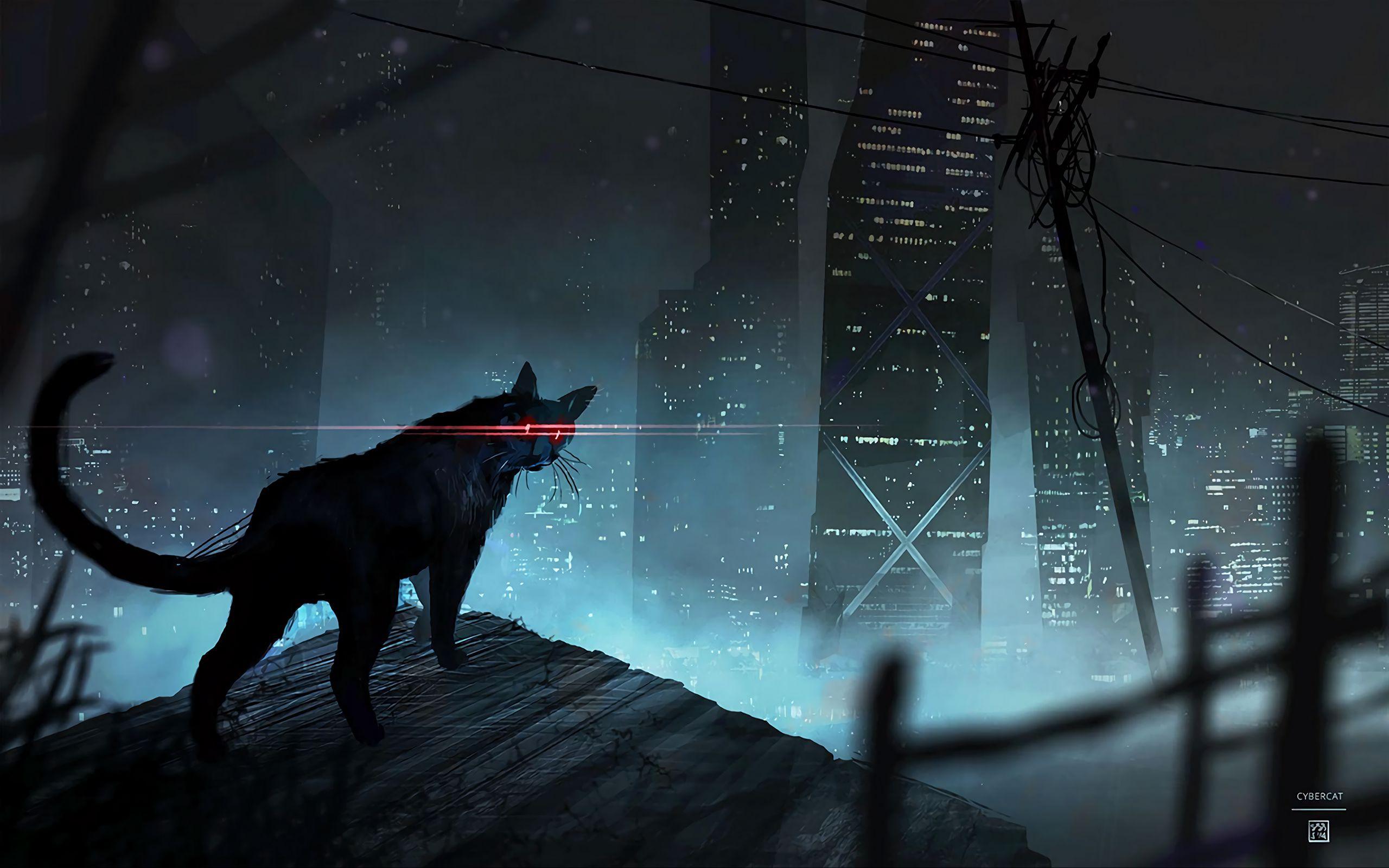 Black Cat Art Wallpapers Top Free Black Cat Art Backgrounds