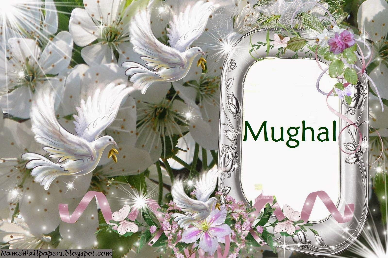 Mughal Wallpapers Top Free Mughal Backgrounds WallpaperAccess