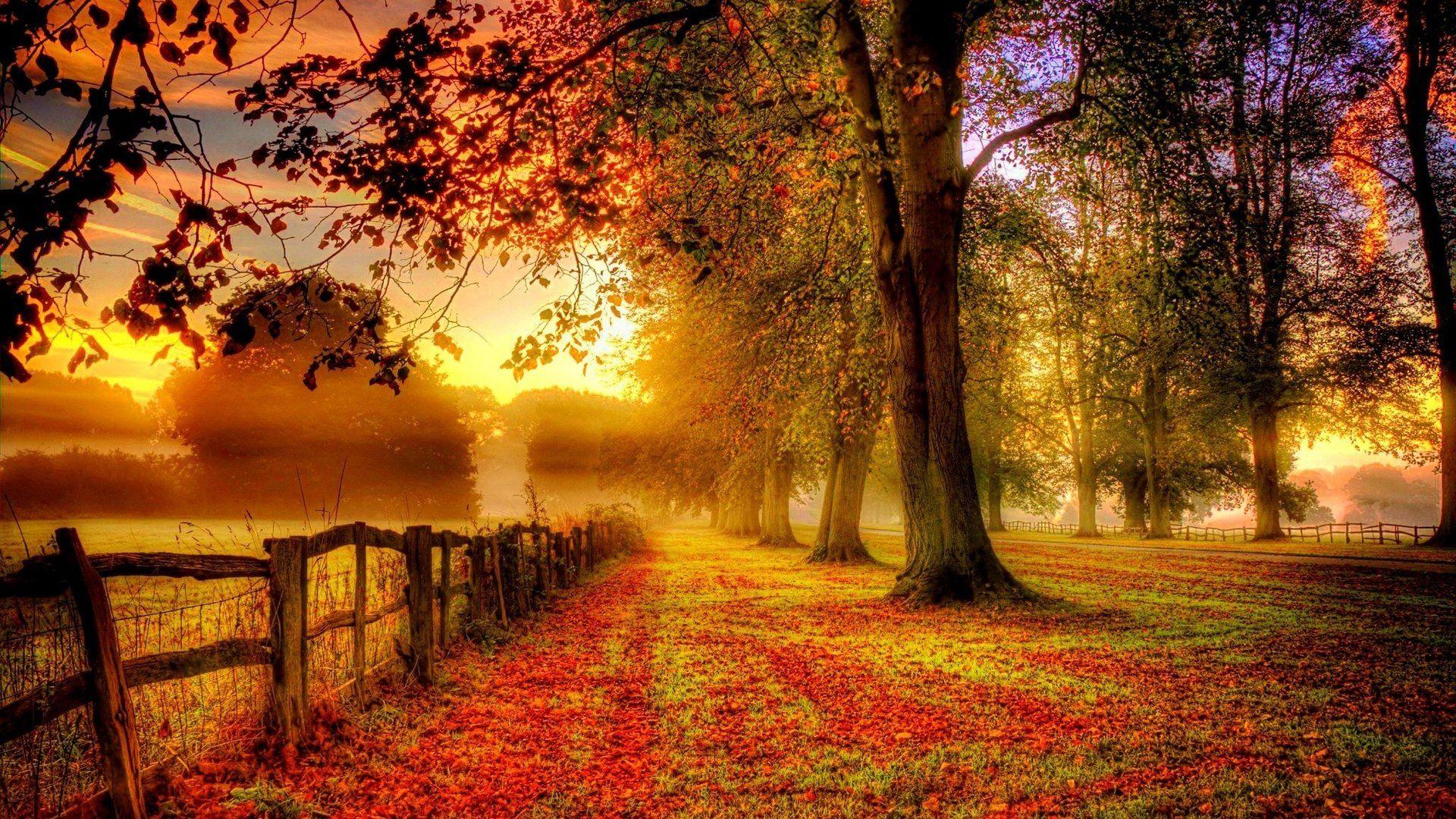 Best Autumn Wallpapers Top Free Best Autumn Backgrounds WallpaperAccess