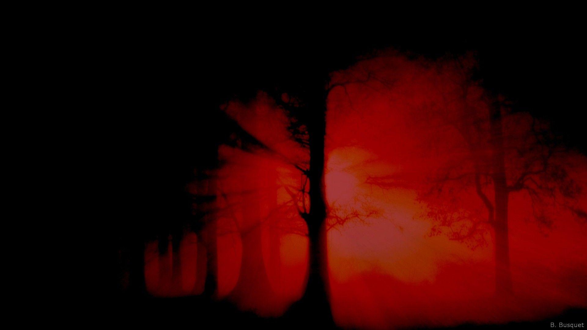 Red and Black Tree Wallpapers Top Free Red and Black Tree Backgrounds WallpaperAccess