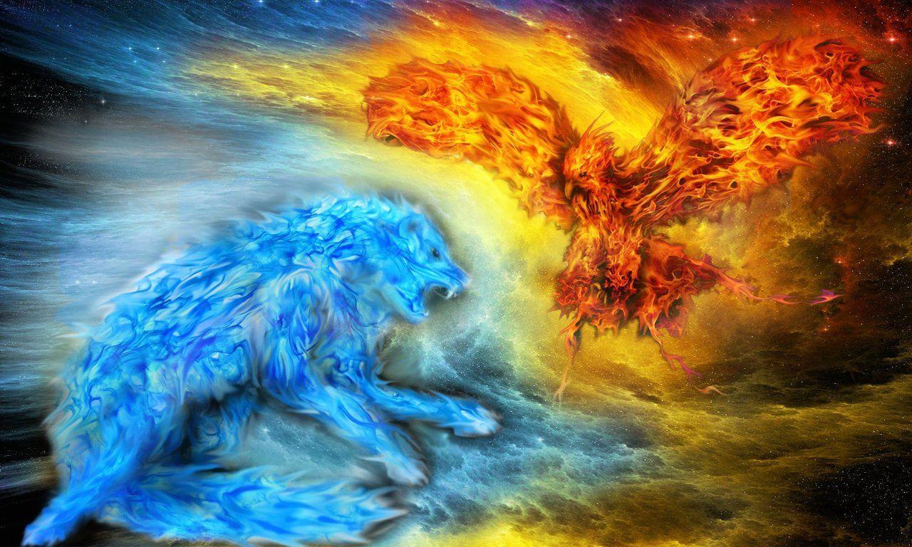 Cool Fire Wolf Wallpapers Top Free Cool Fire Wolf Backgrounds