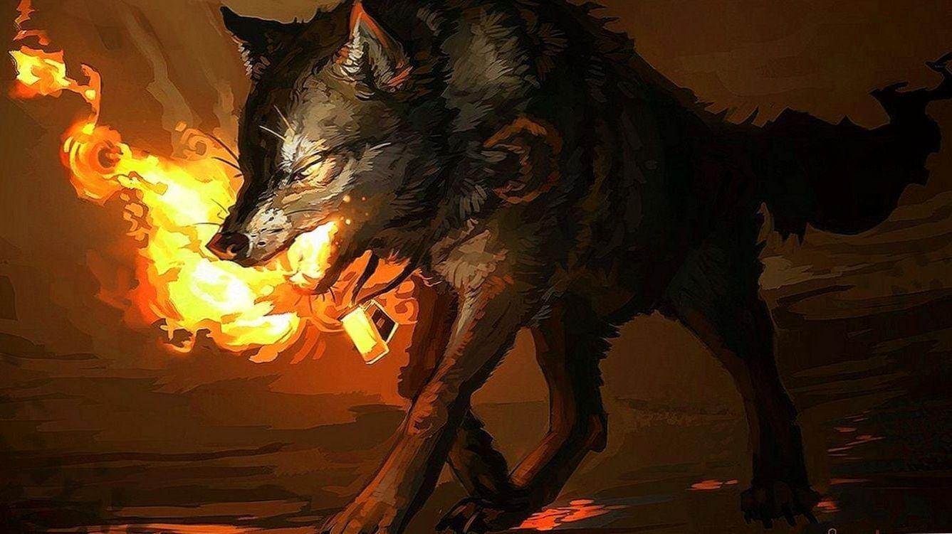 Cool Fire Wolf Wallpapers Top Free Cool Fire Wolf Backgrounds