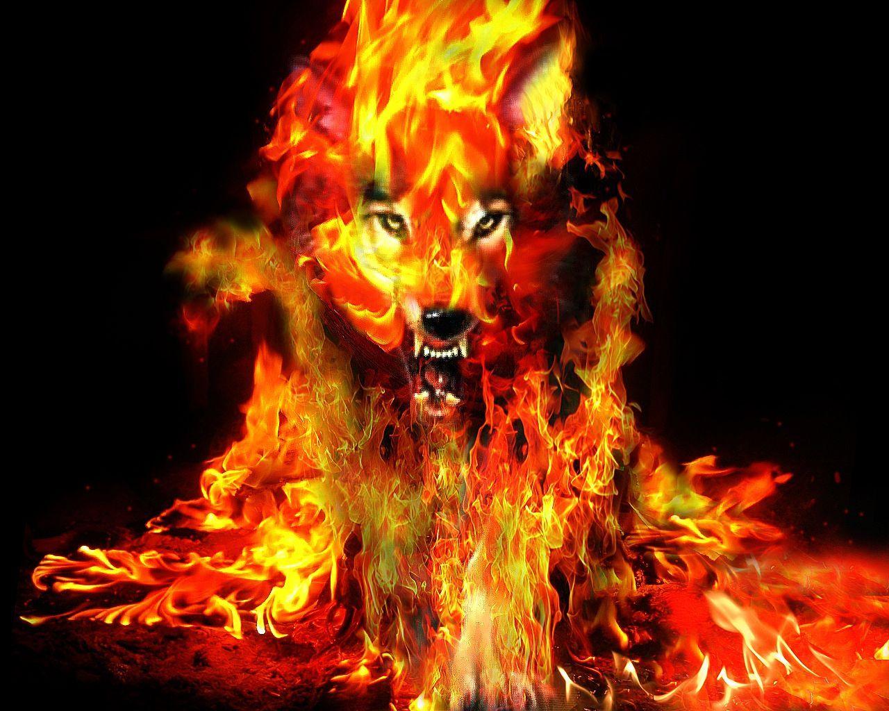 Cool Fire Wolf Wallpapers Top Free Cool Fire Wolf Backgrounds