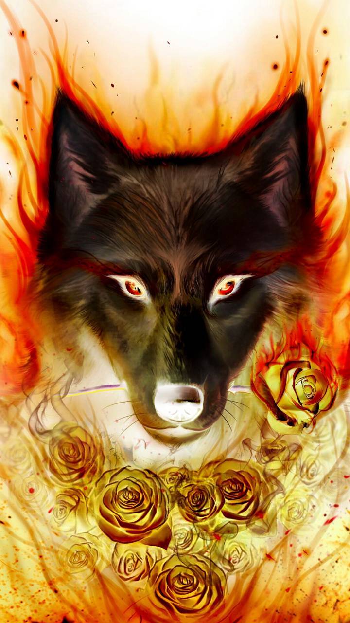 Cool Fire Wolf Wallpapers Top Free Cool Fire Wolf Backgrounds