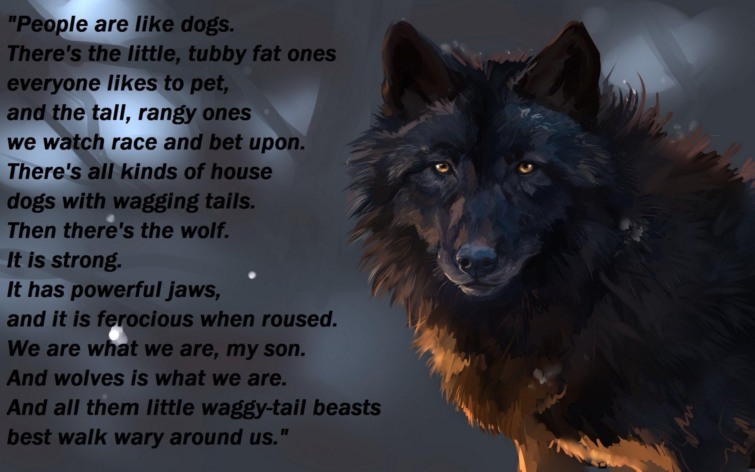 Wolf Quotes Wallpapers Top Free Wolf Quotes Backgrounds WallpaperAccess