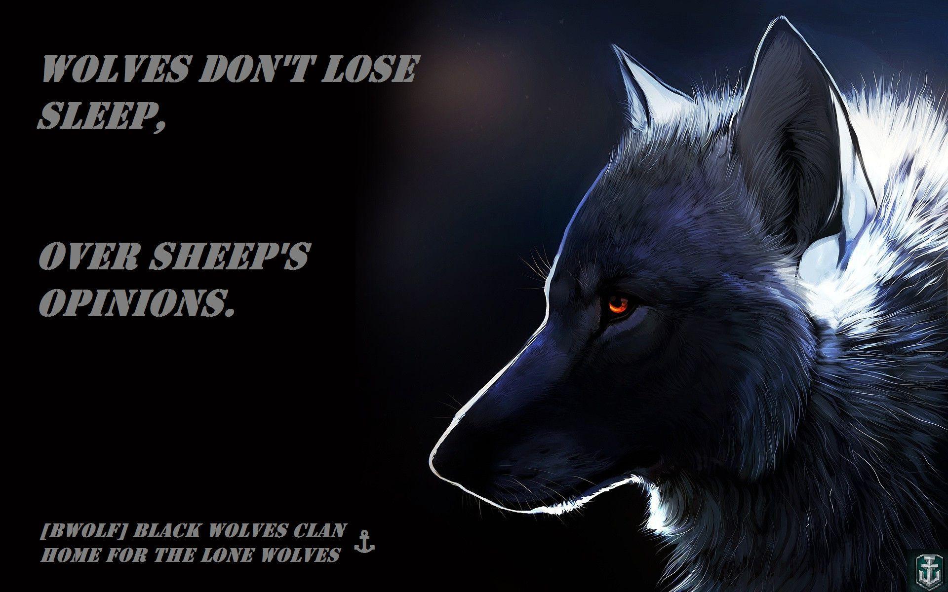 Wolf Quotes Wallpapers Top Free Wolf Quotes Backgrounds WallpaperAccess