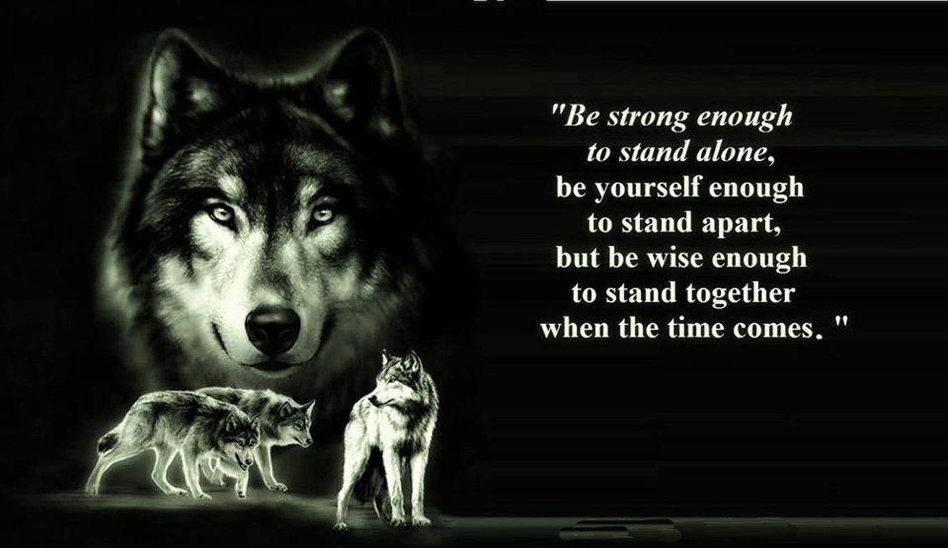 Wolf Quotes Wallpapers Top Free Wolf Quotes Backgrounds WallpaperAccess