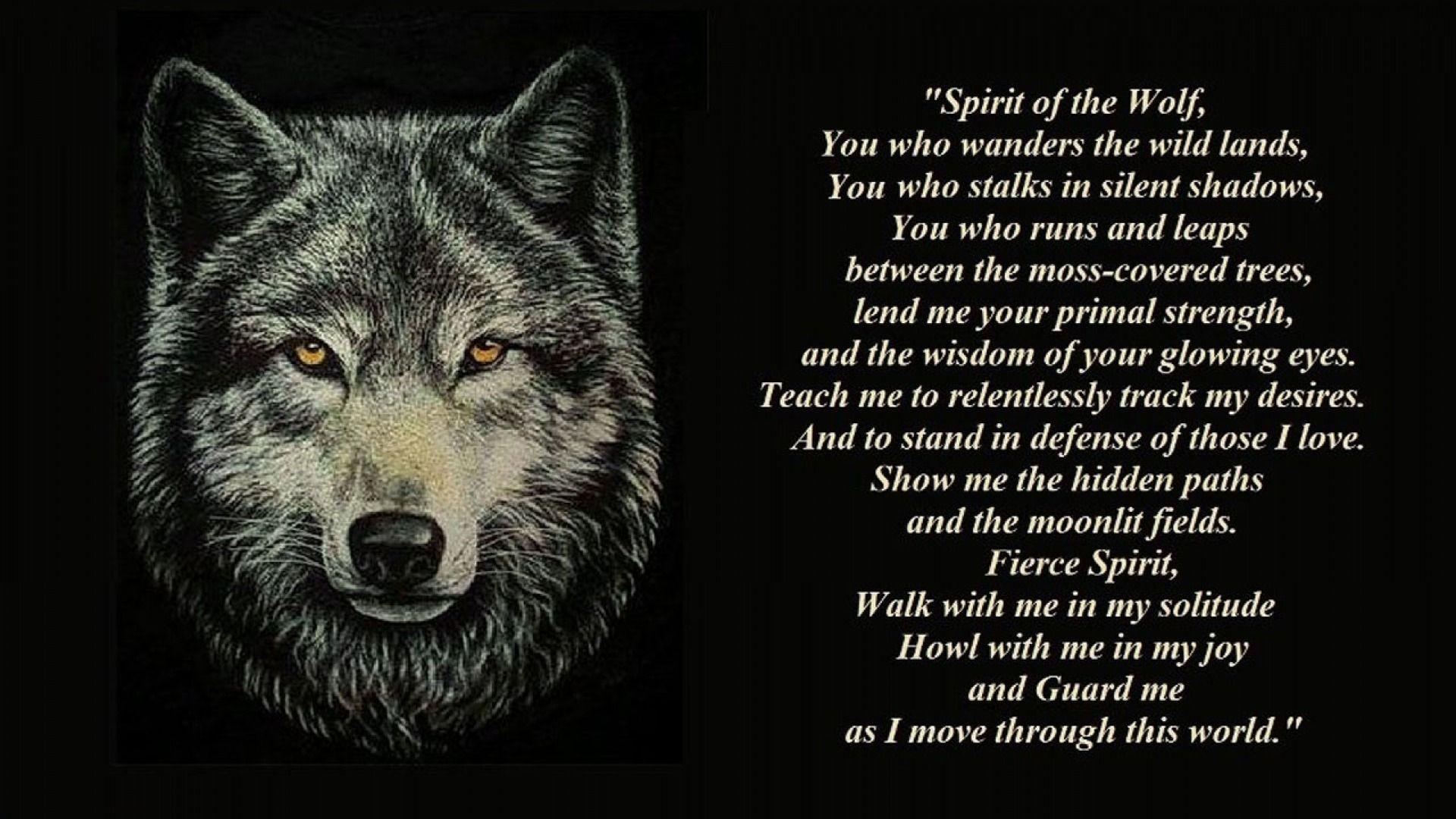 Wolf Quotes Wallpapers Top Free Wolf Quotes Backgrounds WallpaperAccess