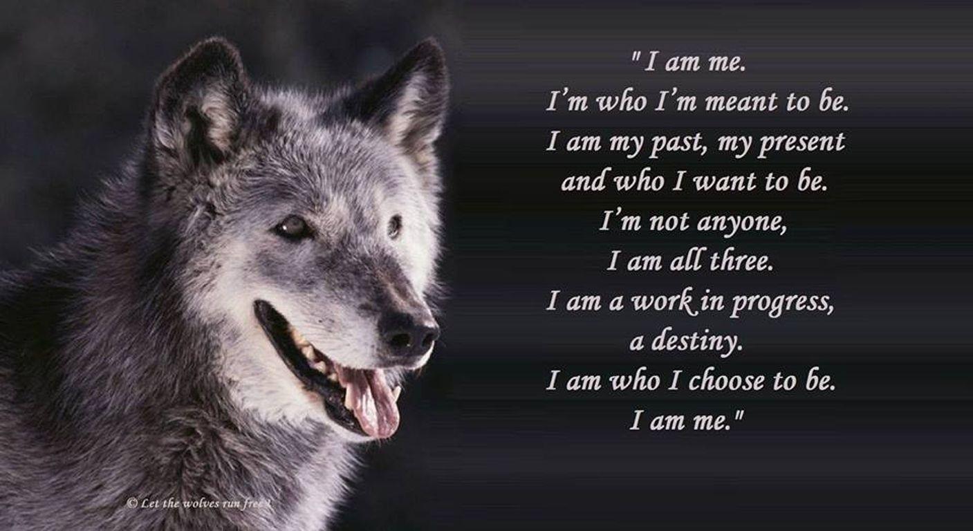 Wolf Quotes Wallpapers Top Free Wolf Quotes Backgrounds WallpaperAccess