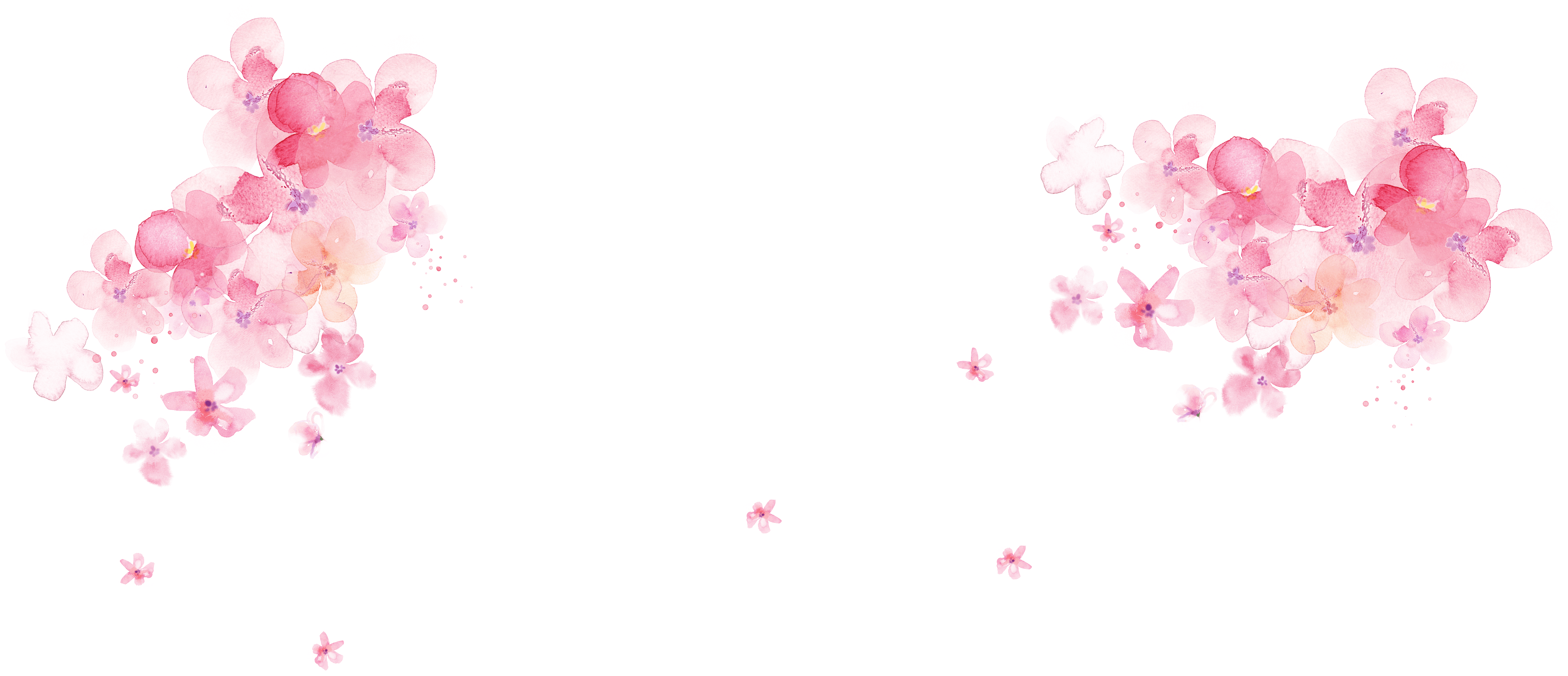 Pink Floral Desktop Wallpapers Top Free Pink Floral Desktop