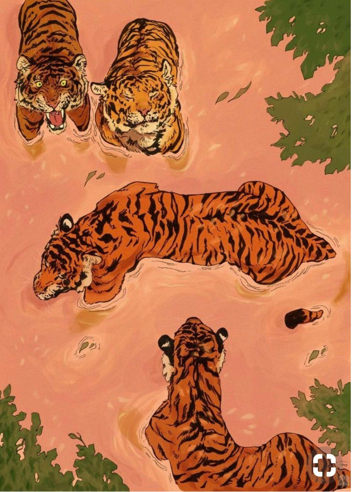 Aesthetic Tiger Wallpapers Top Free Aesthetic Tiger Backgrounds WallpaperAccess