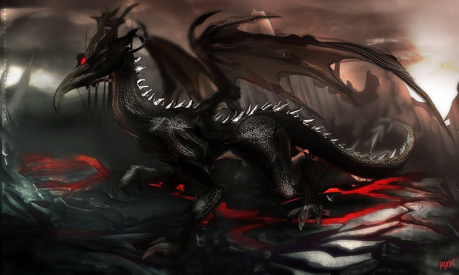 Black Dragon Art Wallpapers Top Free Black Dragon Art Backgrounds