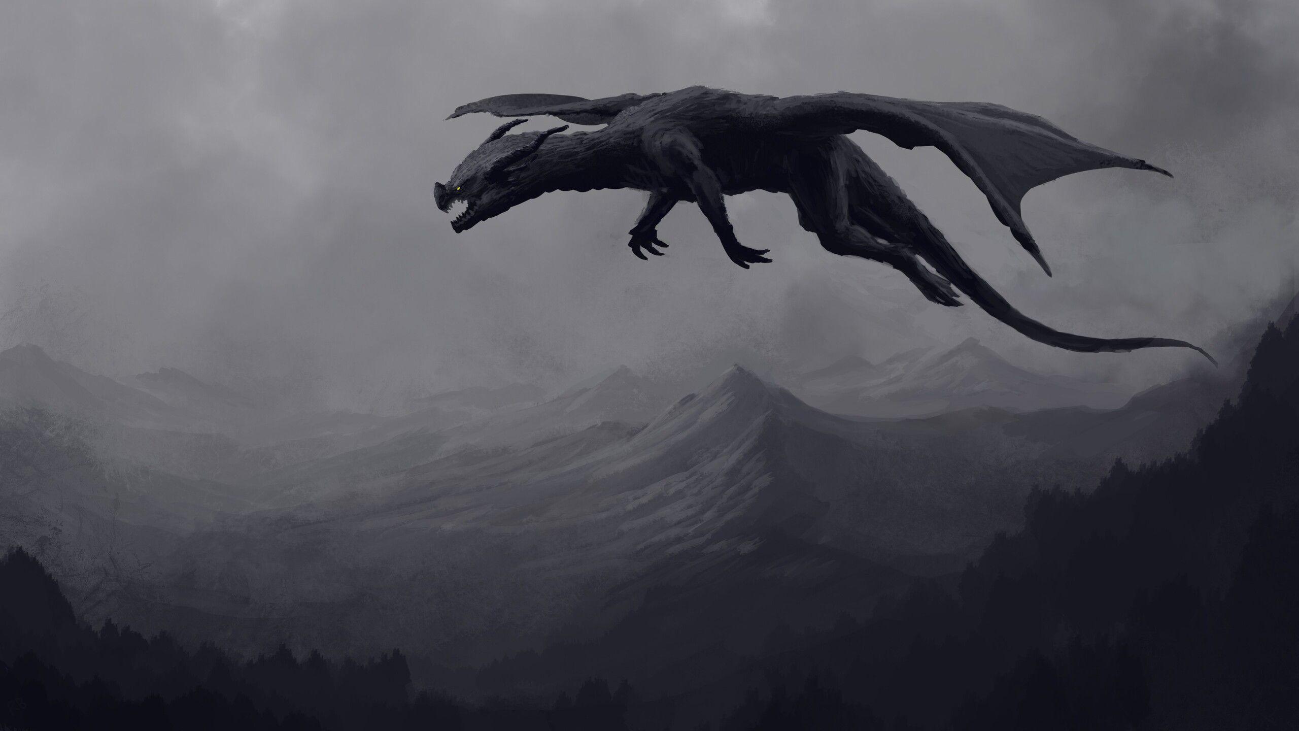 Black Dragon Art Wallpapers Top Free Black Dragon Art Backgrounds