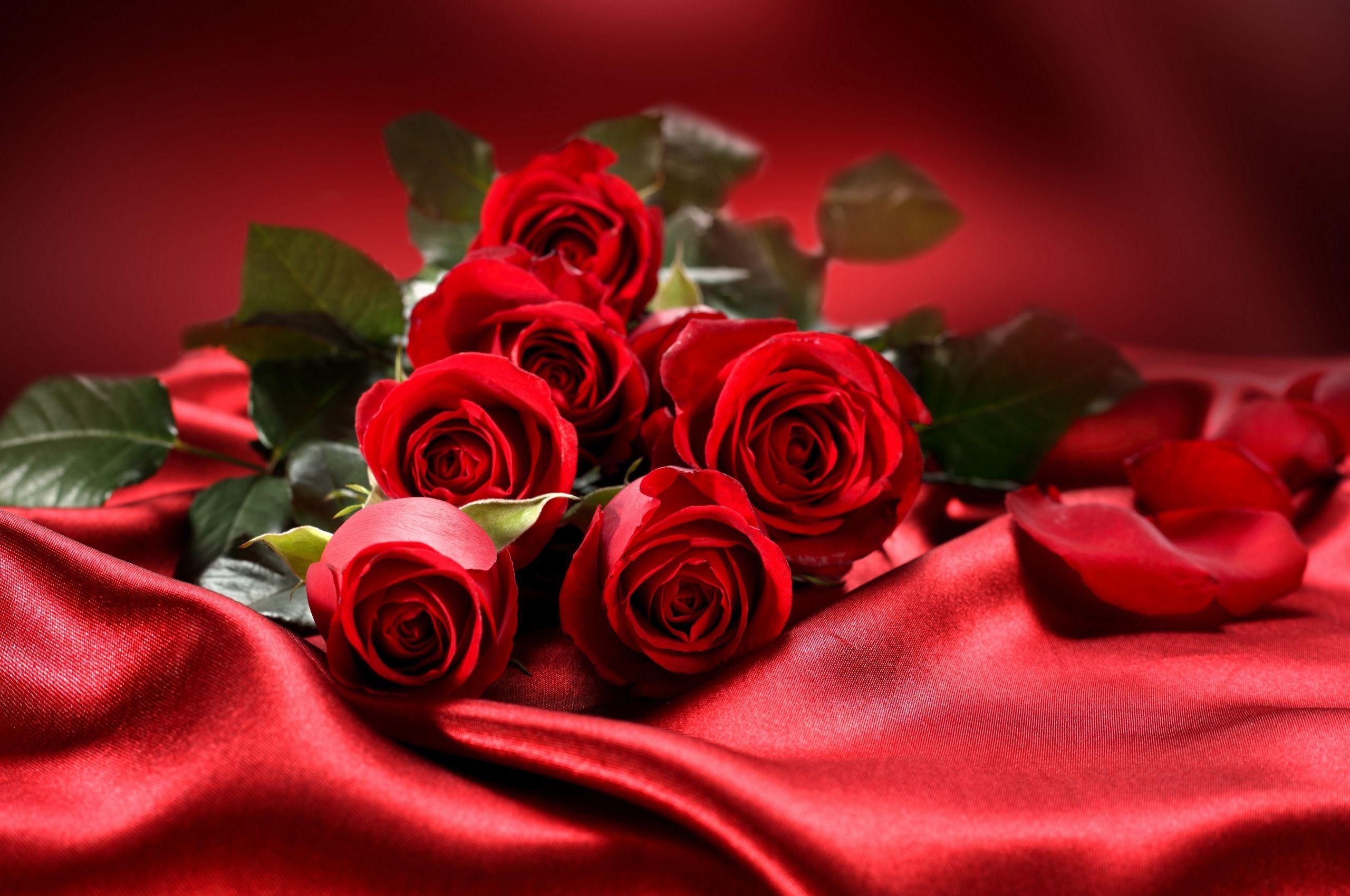 Valentine Day Flower Wallpapers Top Free Valentine Day Flower