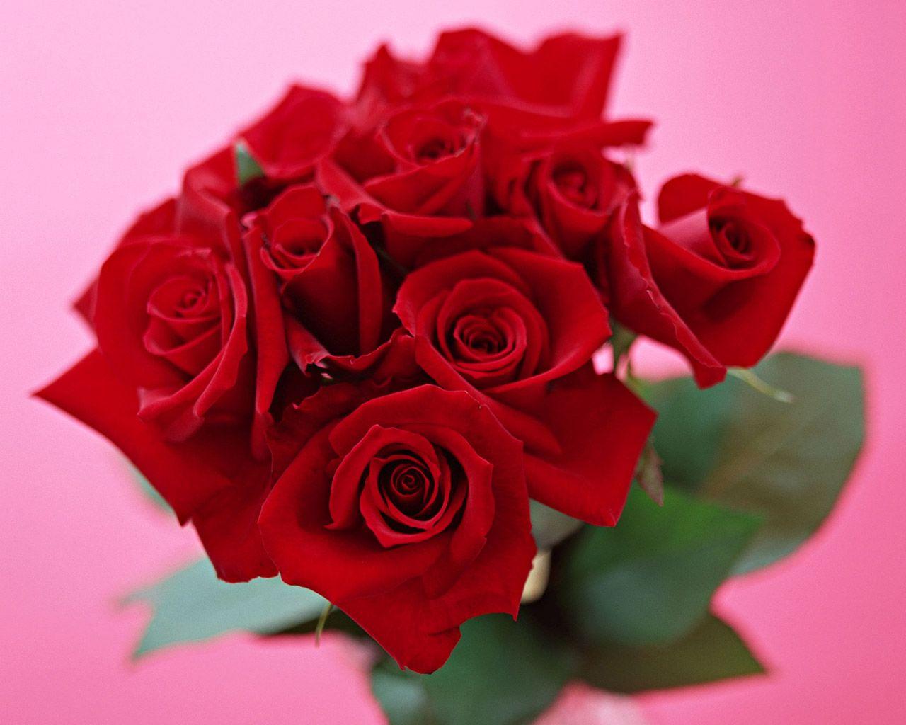 Valentine Day Flower Wallpapers Top Free Valentine Day Flower