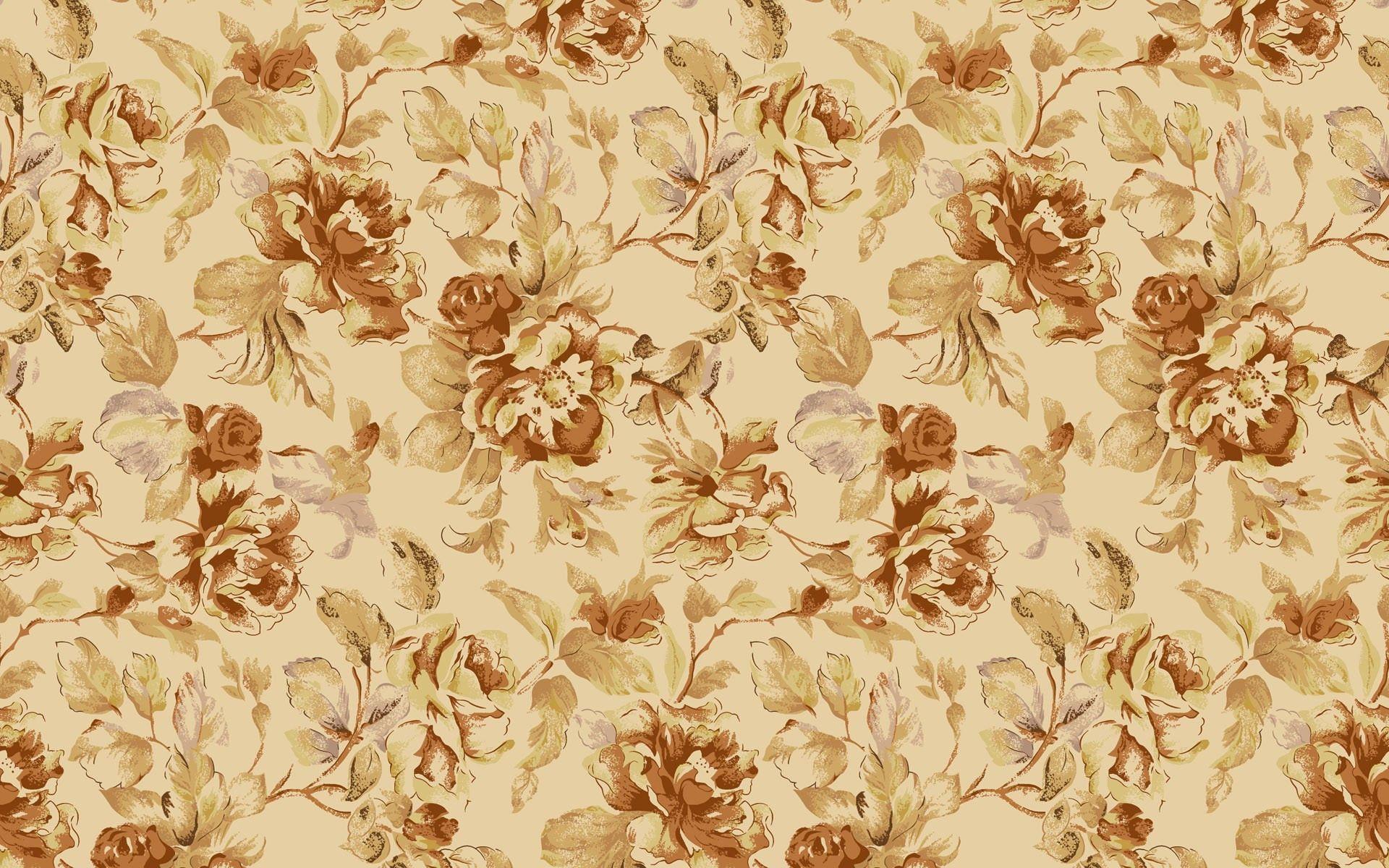 Brown Flower Wallpapers Top Free Brown Flower Backgrounds